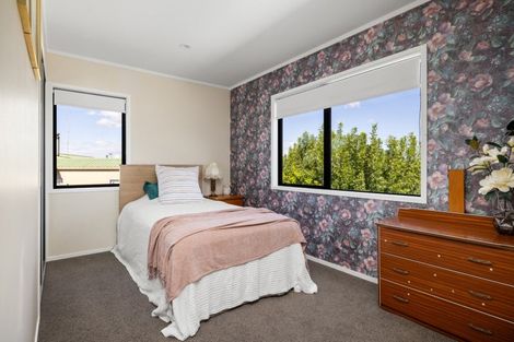Photo of property in 36 Winchester Terrace, Bethlehem, Tauranga, 3110
