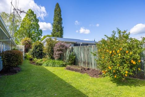 Photo of property in 120 Belcher Street, Pirongia, 3802