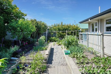Photo of property in 8 Andrew Street, Rangiora, 7400