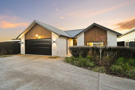 Photo of property in 31 Ogilvie Avenue, Chartwell, Hamilton, 3210