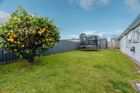 Photo of property in 149b Eversham Road, Mount Maunganui, 3116