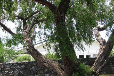 Photo of property in 66 Kitenui Avenue, Mount Albert, Auckland, 1025