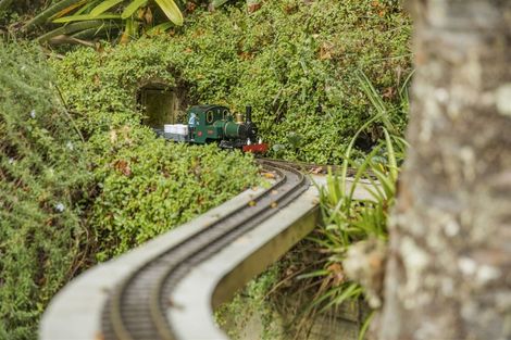 Photo of property in 186 Atkinson Road, Titirangi, Auckland, 0604