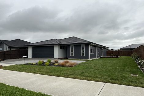 Photo of property in 18 Chertsey Street, Richmond, 7020