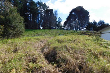 Photo of property in 91a Rigden Road, Opua, 0272