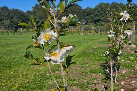 Photo of property in 35 Woven Stone Way, Ohau, 5570
