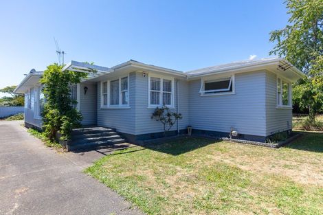 Photo of property in 98 Queen Street West, Levin, 5510