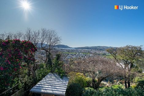 Photo of property in 31 Bangor Terrace, Kew, Dunedin, 9012