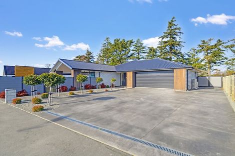 Photo of property in 3 Jag Way, Tinwald, Ashburton, 7700