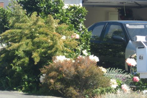 Photo of property in 4b Seymour Street, Blenheim, 7201