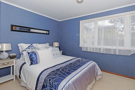 Photo of property in 19 Blease Street, New Lynn, Auckland, 0600