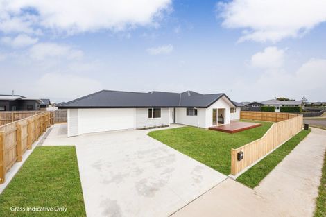 Photo of property in 6 Kanzan Grove, Maewa, 4702