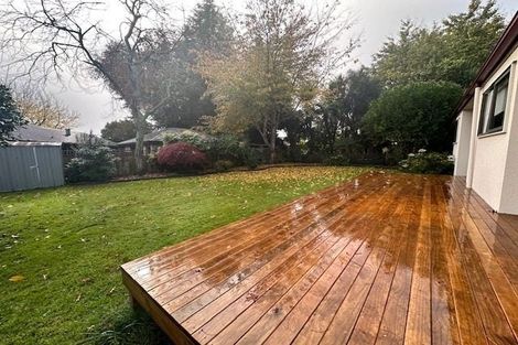 Photo of property in 269 Lamb Street, Leamington, Cambridge, 3432