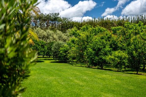 Photo of property in 303 Puketotara Road, Waipapa, Kerikeri, 0295