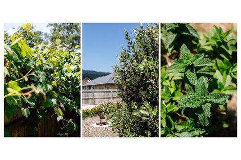 Photo of property in 22 Pollen Street, Kawerau, 3127