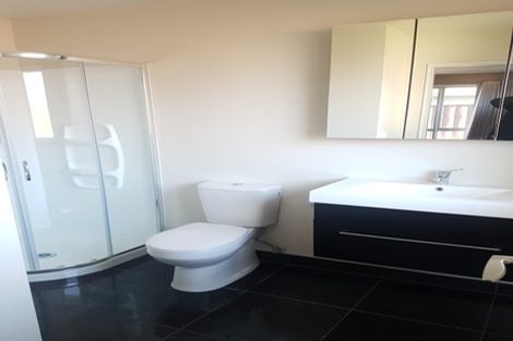 Photo of property in 19 Liddington Drive, Rolleston, 7615