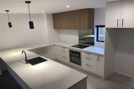 Photo of property in 3/72 Ruskin Street, Addington, Christchurch, 8024