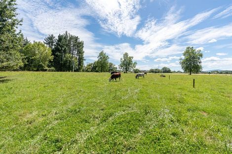 Photo of property in 77 Lee Martin Road, Tamahere, Cambridge, 3493