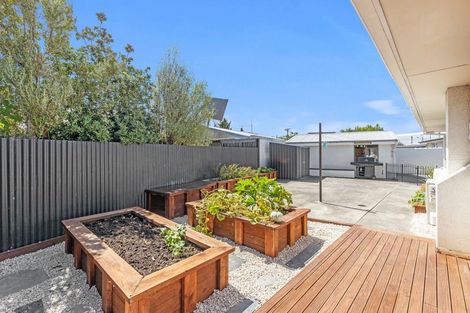 Photo of property in 3 Glover Crescent, Blenheim, 7201