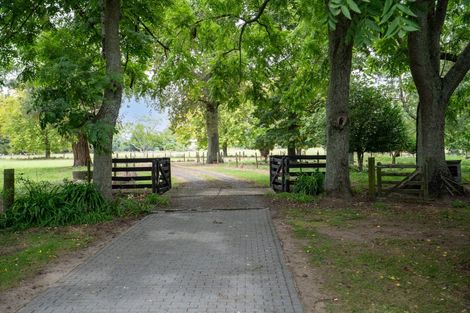 Photo of property in 378 Bruntwood Road, Matangi, Cambridge, 3493