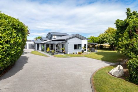 Photo of property in 19 Titoki Street, Matamata, 3400