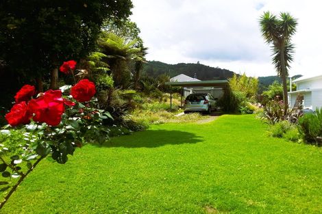 Photo of property in 101 Edward Street, Thames, 3500