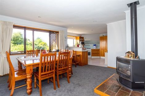 Photo of property in 28 Forest Road, Geraldine, 7930