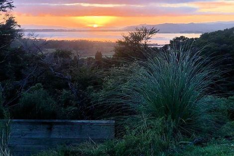 Photo of property in 1216 Whangapoua Sh25 Road, Te Rerenga, Coromandel, 3582