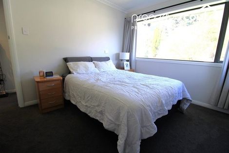Photo of property in 111 Norwood Street, Normanby, Dunedin, 9010