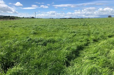 Photo of property in 155 Tauhei Road, Mangateparu, Morrinsville, 3375