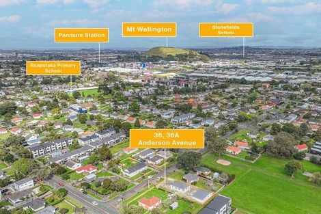 Photo of property in 36 Anderson Avenue, Point England, Auckland, 1072