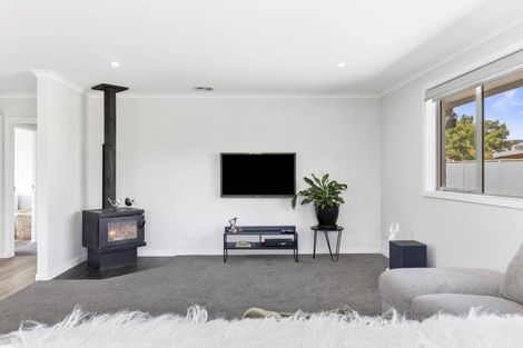 Photo of property in 30 Horace Street, Cromwell, 9310