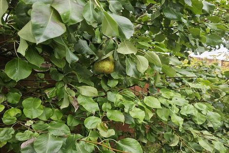 Photo of property in 70 Carrington Avenue, Silverdale, Hamilton, 3216