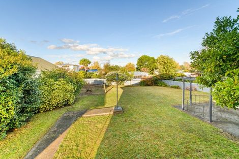 Photo of property in 17 Mcclure Street, Feilding, 4702