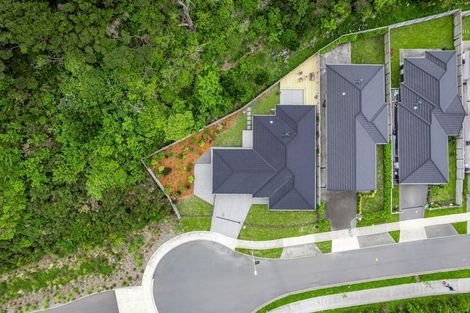 Photo of property in 46 Martingale Drive, Whitby, Porirua, 5024