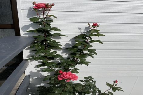 Photo of property in 1/126 Tirohanga Road, Tirohanga, Lower Hutt, 5010