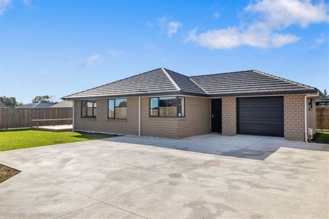 Photo of property in 77b Fairfield Road, Levin, 5510