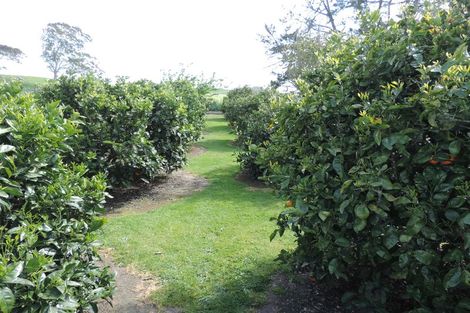 Photo of property in 291 Herbert Road, Rotongaro, Huntly, 3772