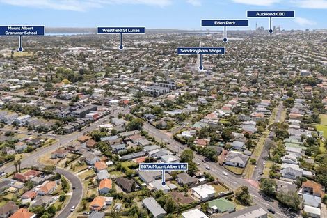 Photo of property in 267a Mount Albert Road, Wesley, Auckland, 1041