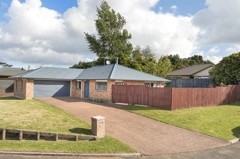 Photo of property in 22 Sapling Drive, Pukekohe, 2120