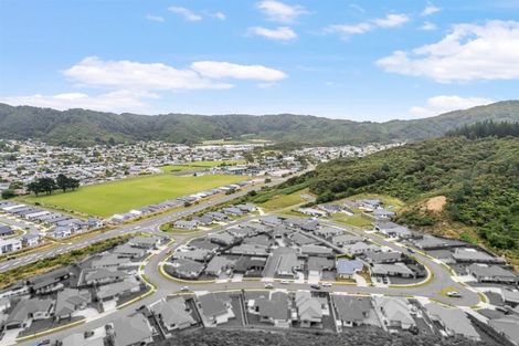 Photo of property in 24 Brian Morgan Terrace, Wainuiomata, Lower Hutt, 5014