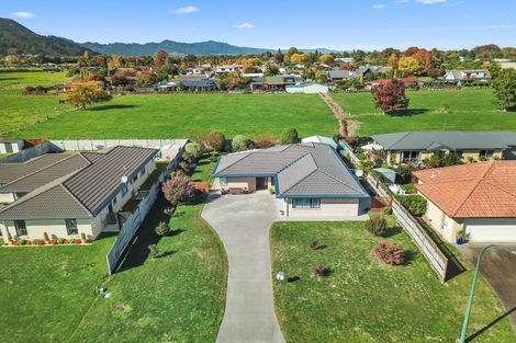 Photo of property in 22 Vogel Place, Te Aroha, 3320