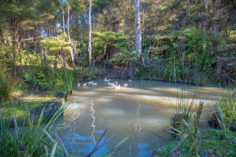 Photo of property in 341 Kanohi Road, Kaukapakapa, 0873