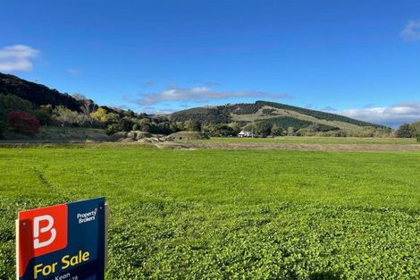 Photo of property in 31 Franks Place, Outram, 9019