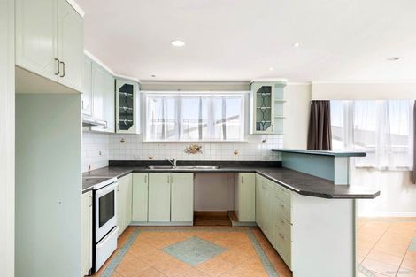 Photo of property in 58 Webster Avenue, Mount Roskill, Auckland, 1041