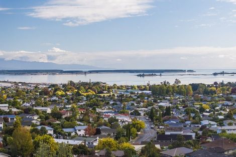 Photo of property in 16 Barrington Place, Richmond, 7020