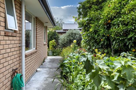 Photo of property in 7a Ida Street, Redwoodtown, Blenheim, 7201