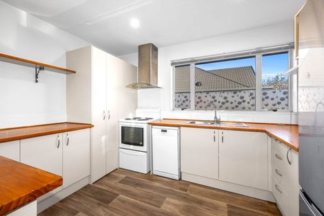 Photo of property in 88 Disraeli Street, Addington, Christchurch, 8024