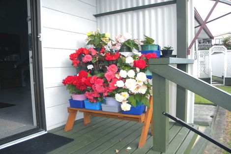 Photo of property in 92 Caxton Place, Te Awamutu, 3800