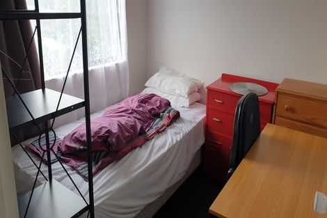 Photo of property in 14 Duddingstone Steps, North East Valley, Dunedin, 9010